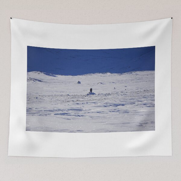 Item preview, Aamotdalshytta designed and sold by Norwegian Outdoors.