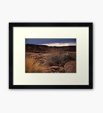 Untitled Framed Print
