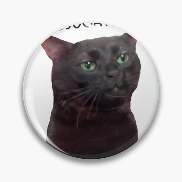 Item preview, Cat dissociating meme sticker designed and sold by Alliumcep4.
