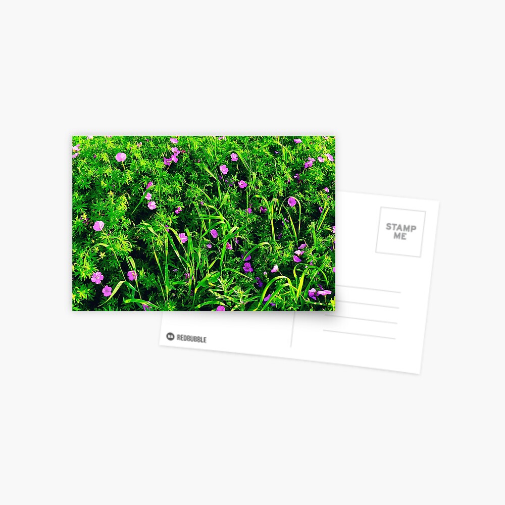 Item preview, Postcard designed and sold by Mallorn.