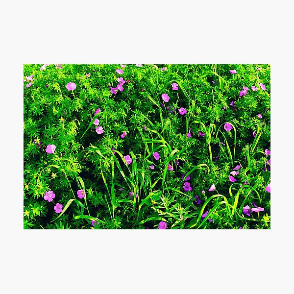 Item preview, Green Grass Summer Background with Little Lilac Flowers designed and sold by Mallorn.