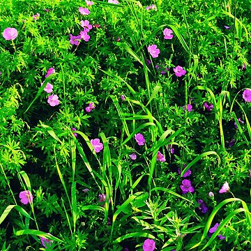 Artwork thumbnail, Green Grass Summer Background with Little Lilac Flowers by Mallorn