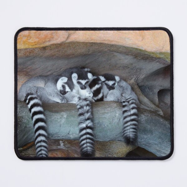 Item preview, Sweet Lemurs designed and sold by Cynthia48.