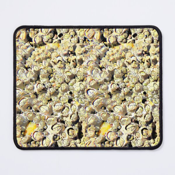 Item preview, Barnacle Beach designed and sold by QueenTheBean.