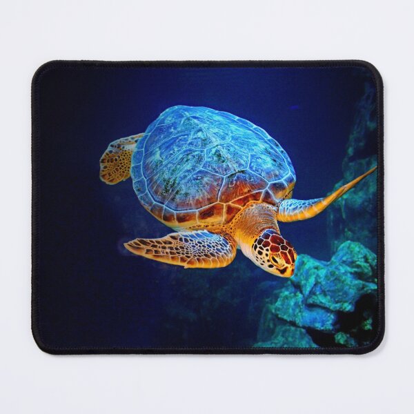 Item preview, Atlantic Ridley Sea Turtle designed and sold by Savannah Gibbs.
