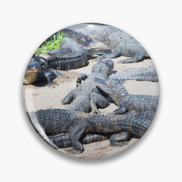 Item preview, Many Alligators In One Place designed and sold by Cynthia48.