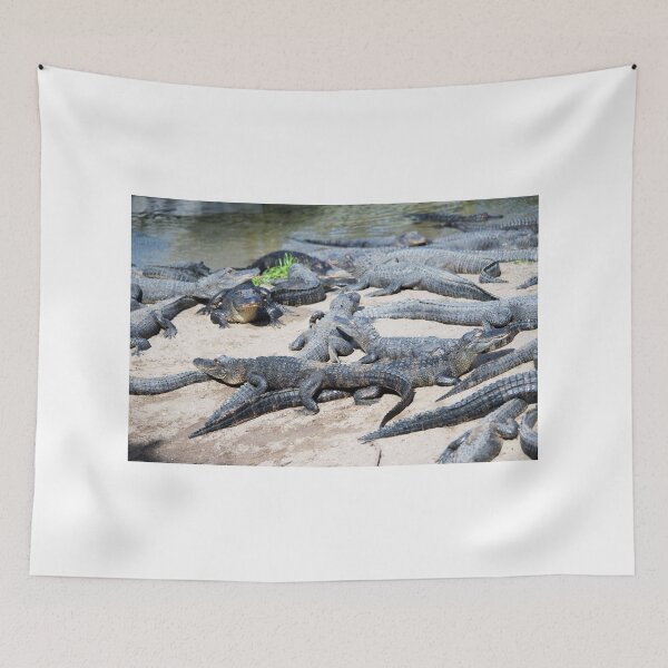 Item preview, Many Alligators In One Place designed and sold by Cynthia48.