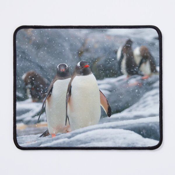 Item preview, SNOWY PENGUIN MARCH designed and sold by adumont1.