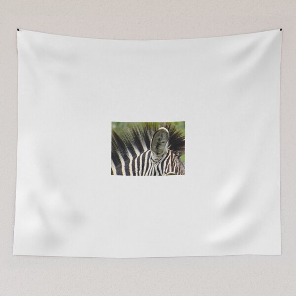 Item preview, Even my ears are striped designed and sold by exploramum.