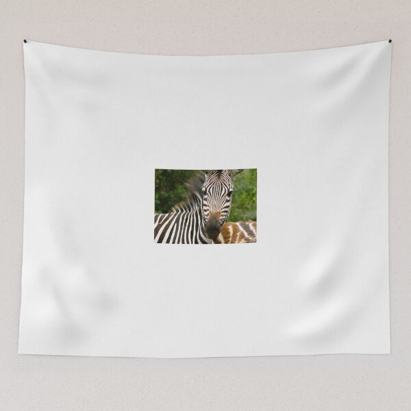 Item preview, Baby Zebras are Brown designed and sold by exploramum.