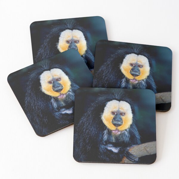 Item preview, White-faced Saki Monkey designed and sold by Savannah Gibbs.