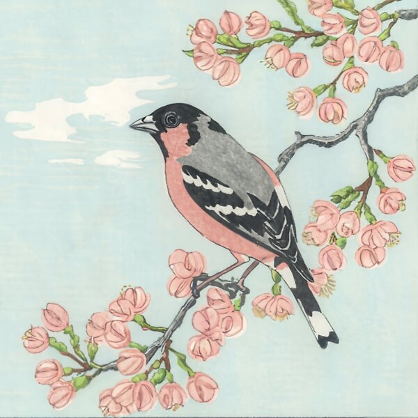Bullfinch with Flowers