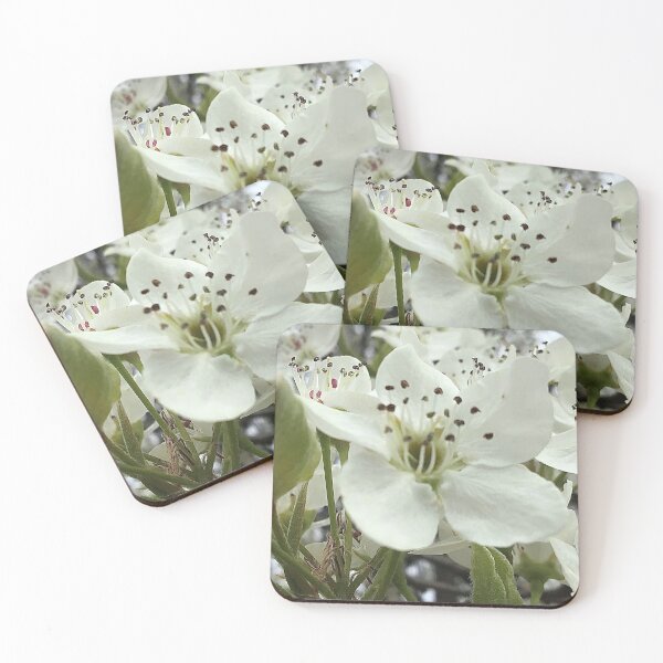 Item preview, Pear Tree Flower designed and sold by CJRPics.