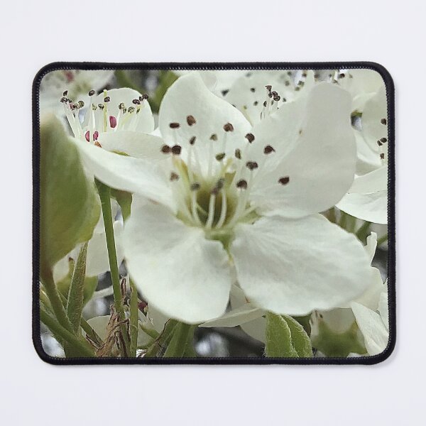 Item preview, Pear Tree Flower designed and sold by CJRPics.