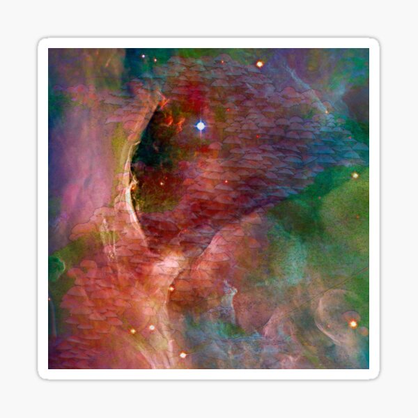 Cosmic Mushrooms 4 Sticker
