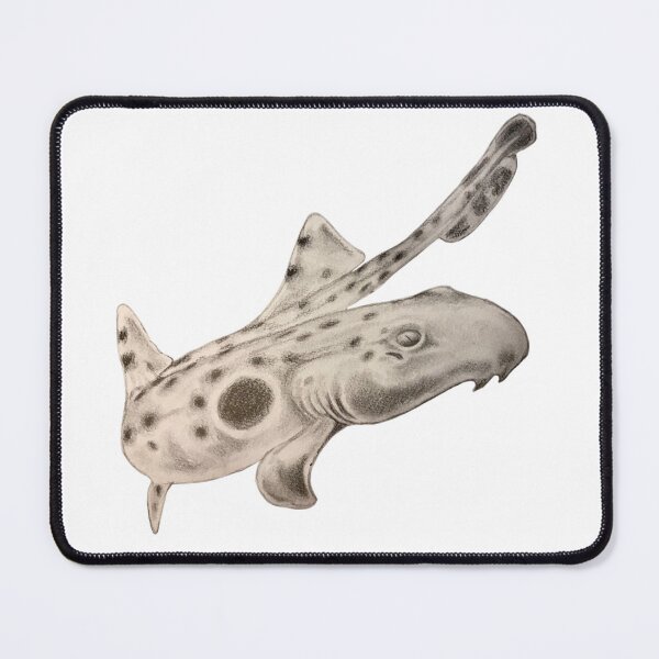 Item preview, Epaulette Shark designed and sold by Kyra C. Kalageorgi.