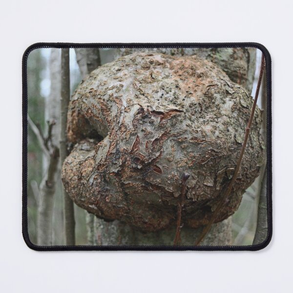 Item preview, round burl on an aspen trunk designed and sold by mrivserg.