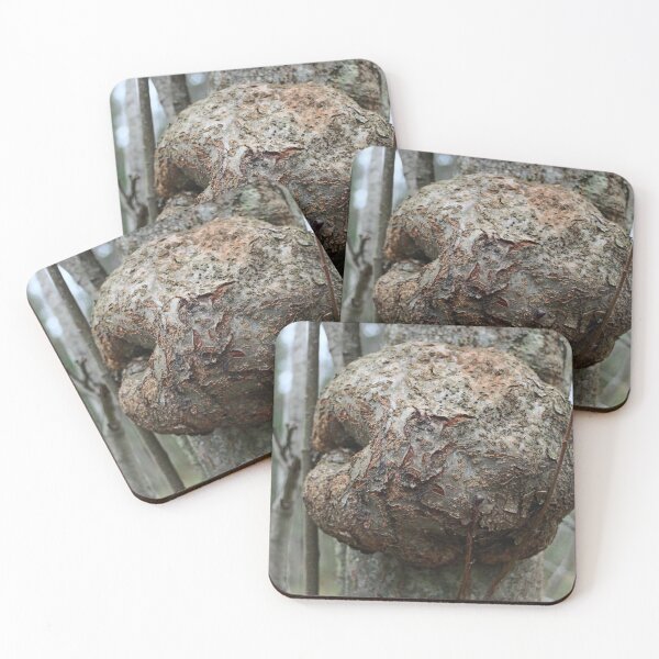 Item preview, round burl on an aspen trunk designed and sold by mrivserg.