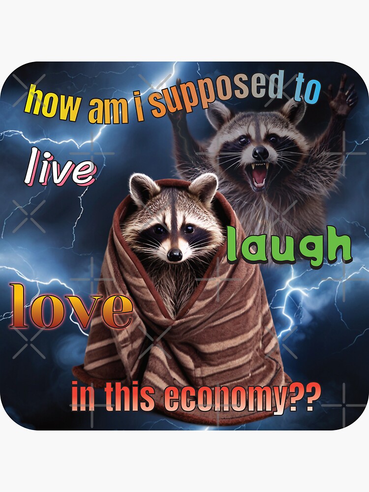 How am I Supposed to Live Laugh Love in This Economy Funny