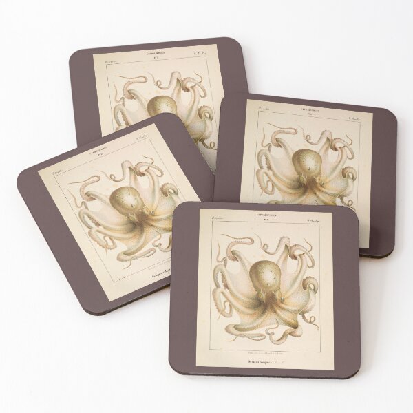 Item preview, Octopus vulgaris. Lamh. Great vintage image from Jean-Baptiste Vérany's collection from 1851. designed and sold by LunaMothDesigns.