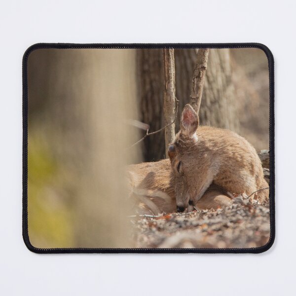 Item preview, Series: Deer 11 designed and sold by SMFOTO.