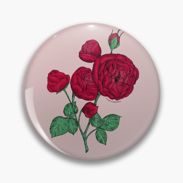 Item preview, Dark Red Pompon Rose Bloom Full 26-40 Petals In 3+ Rows designed and sold by Rachael Taylor.