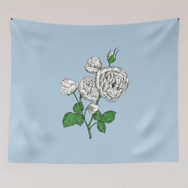 Item preview, White Pompon Rose Bloom Full 26-40 Petals In 3+ Rows designed and sold by zenithcreative.