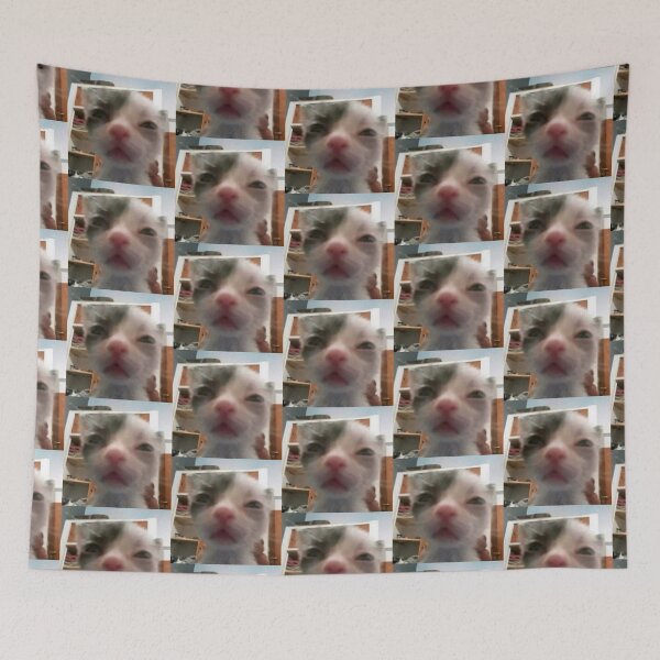 Item preview, silly kitty cat designed and sold by SaraDatCool.
