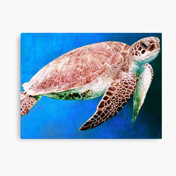 Sea Turtle - Ballpoint Pen Canvas Print