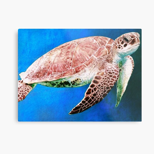 Sea Turtle - Ballpoint Pen Metal Print