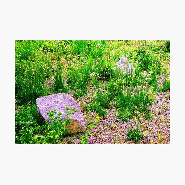 Item preview, Piece of a Garden designed and sold by Mallorn.