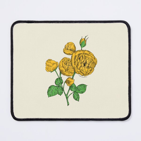 Item preview, Yellow Pompon Rose Bloom Full 26-40 Petals In 3+ Rows designed and sold by Rachael Taylor.