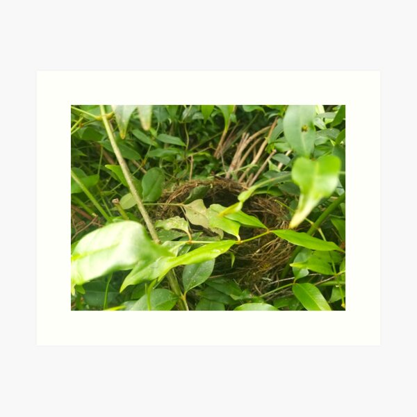 Item preview, Birds Nest in Green Tree designed and sold by YourGoodLife Designs.