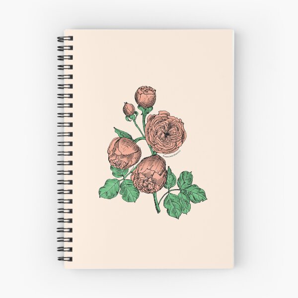 Item preview, Apricot Pompon Rose Bloom Very Full 40+ Petals In 3+ Rows designed and sold by Rachael Taylor.