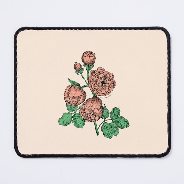 Item preview, Apricot Pompon Rose Bloom Very Full 40+ Petals In 3+ Rows designed and sold by Rachael Taylor.
