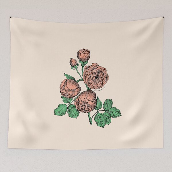 Item preview, Apricot Pompon Rose Bloom Very Full 40+ Petals In 3+ Rows designed and sold by zenithcreative.