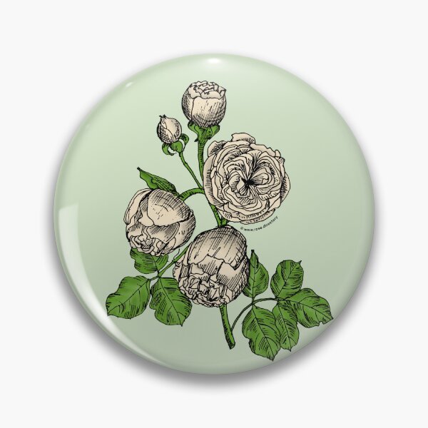 Item preview, Cream Pompon Rose Bloom Very Full 40+ Petals In 3+ Rows designed and sold by Rachael Taylor.