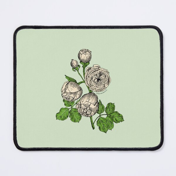 Item preview, Cream Pompon Rose Bloom Very Full 40+ Petals In 3+ Rows designed and sold by Rachael Taylor.