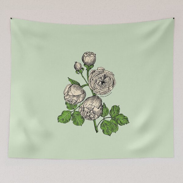 Item preview, Cream Pompon Rose Bloom Very Full 40+ Petals In 3+ Rows designed and sold by zenithcreative.