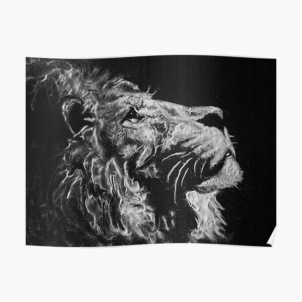 Lion - Sugar Art Poster