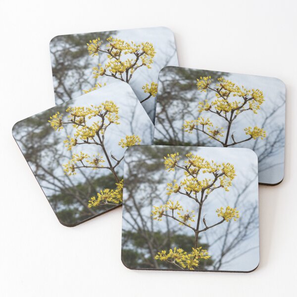 Item preview, Cornus officinalis 11 designed and sold by yunee.