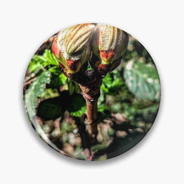 Item preview, Flower buds designed and sold by Cheryl Altschuler.