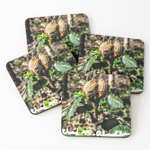 Item preview, Flower buds designed and sold by Cheryl Altschuler.