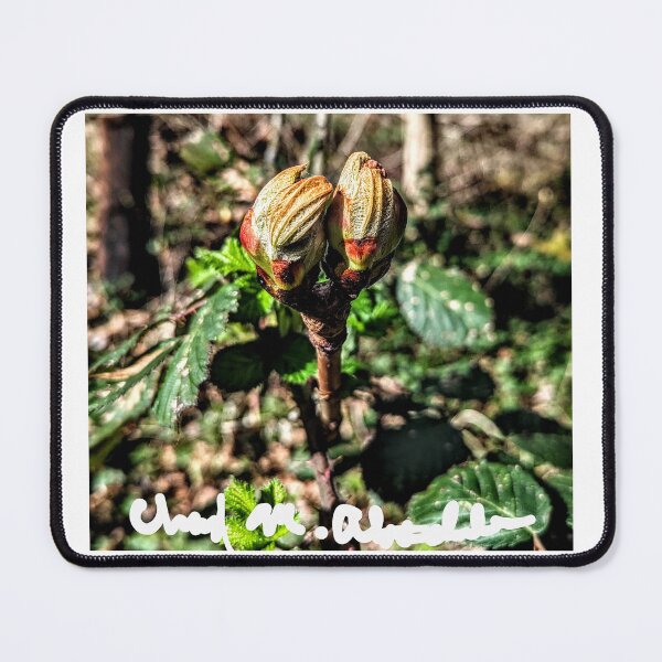 Item preview, Flower buds designed and sold by Cheryl Altschuler.
