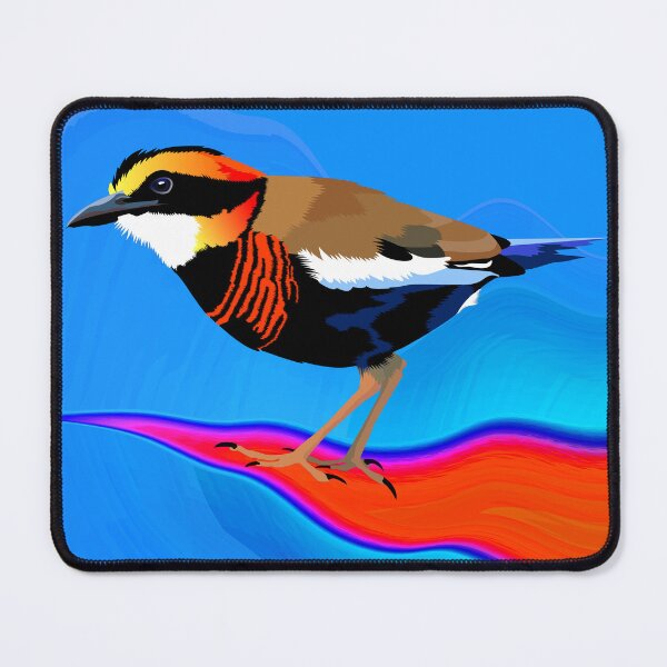 Item preview, Malayan Banded Pitta. designed and sold by Graham Colton.