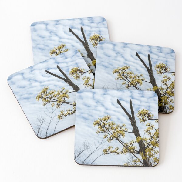 Item preview, Cornus officinalis flower 12 designed and sold by yunee.
