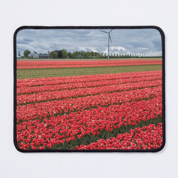 Item preview, Aerial view of bright red Tulip fields in the Netherlands. designed and sold by snehit.