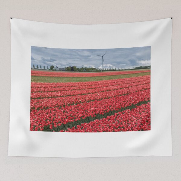 Item preview, Aerial view of bright red Tulip fields in the Netherlands.  designed and sold by snehit.