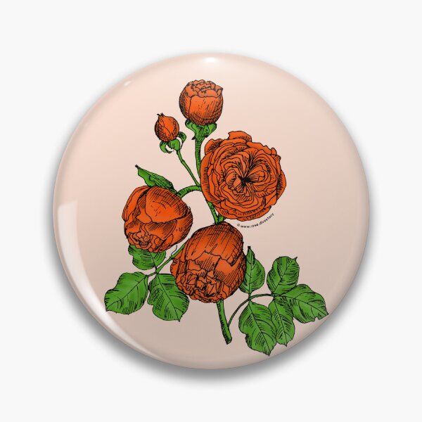 Item preview, Orange Pompon Rose Bloom Very Full 40+ Petals In 3+ Rows designed and sold by Rachael Taylor.