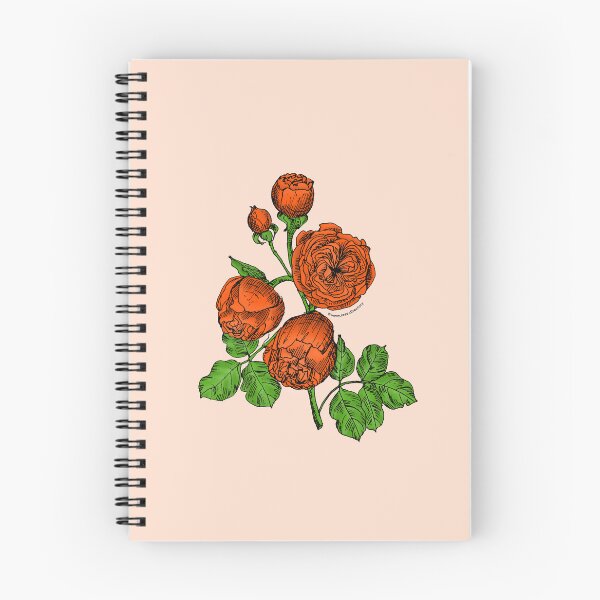 Item preview, Orange Pompon Rose Bloom Very Full 40+ Petals In 3+ Rows designed and sold by Rachael Taylor.